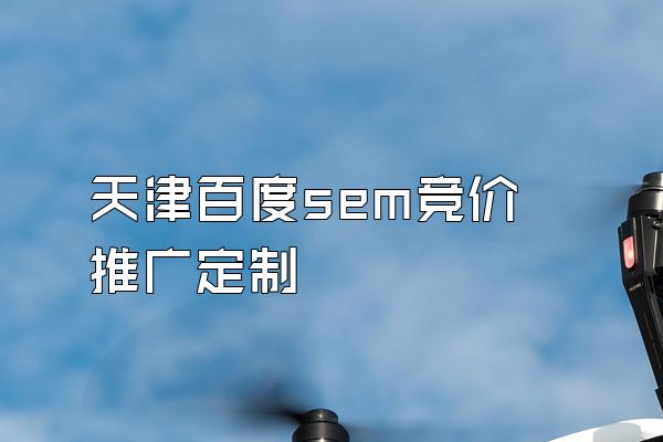 天津百度sem竞价推广定制
