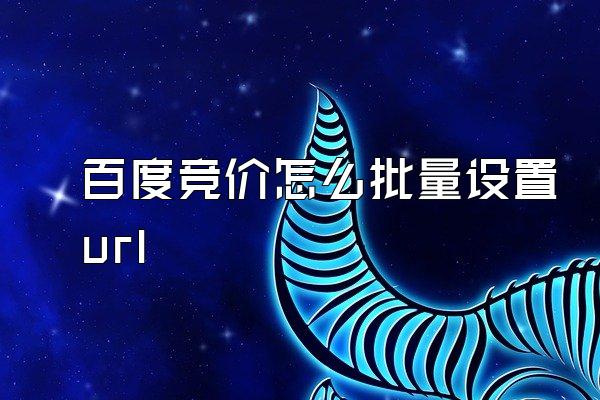 百度竞价怎么批量设置url