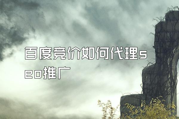 百度竞价如何代理seo推广