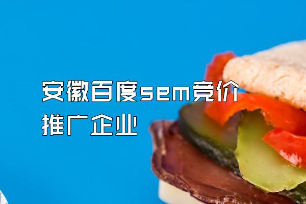 安徽百度sem竞价推广企业