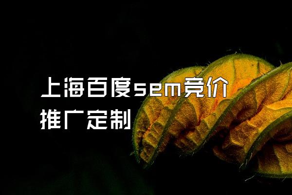 上海百度sem竞价推广定制