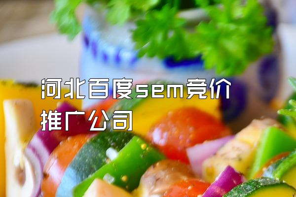河北百度sem竞价推广公司