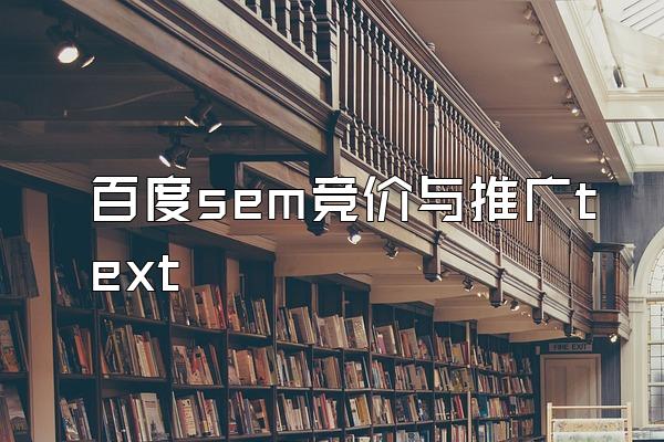 百度sem竞价与推广text