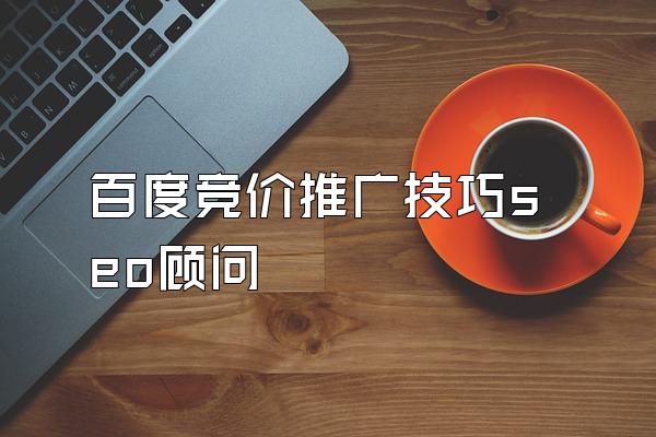 百度竞价推广技巧seo顾问