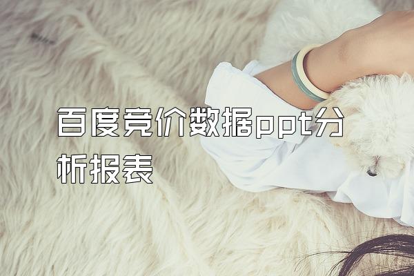 百度竞价数据ppt分析报表