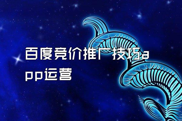 百度竞价推广技巧app运营