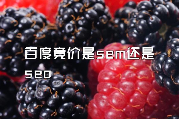 百度竞价是sem还是seo