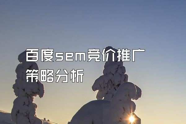 百度sem竞价推广策略分析
