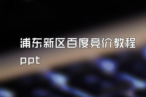 浦东新区百度竞价教程ppt