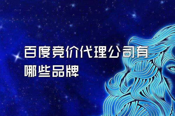 百度竞价代理公司有哪些品牌