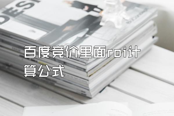 百度竞价里面roi计算公式
